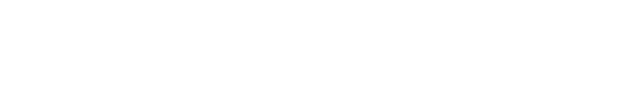 CAA_LOGO_WHITE