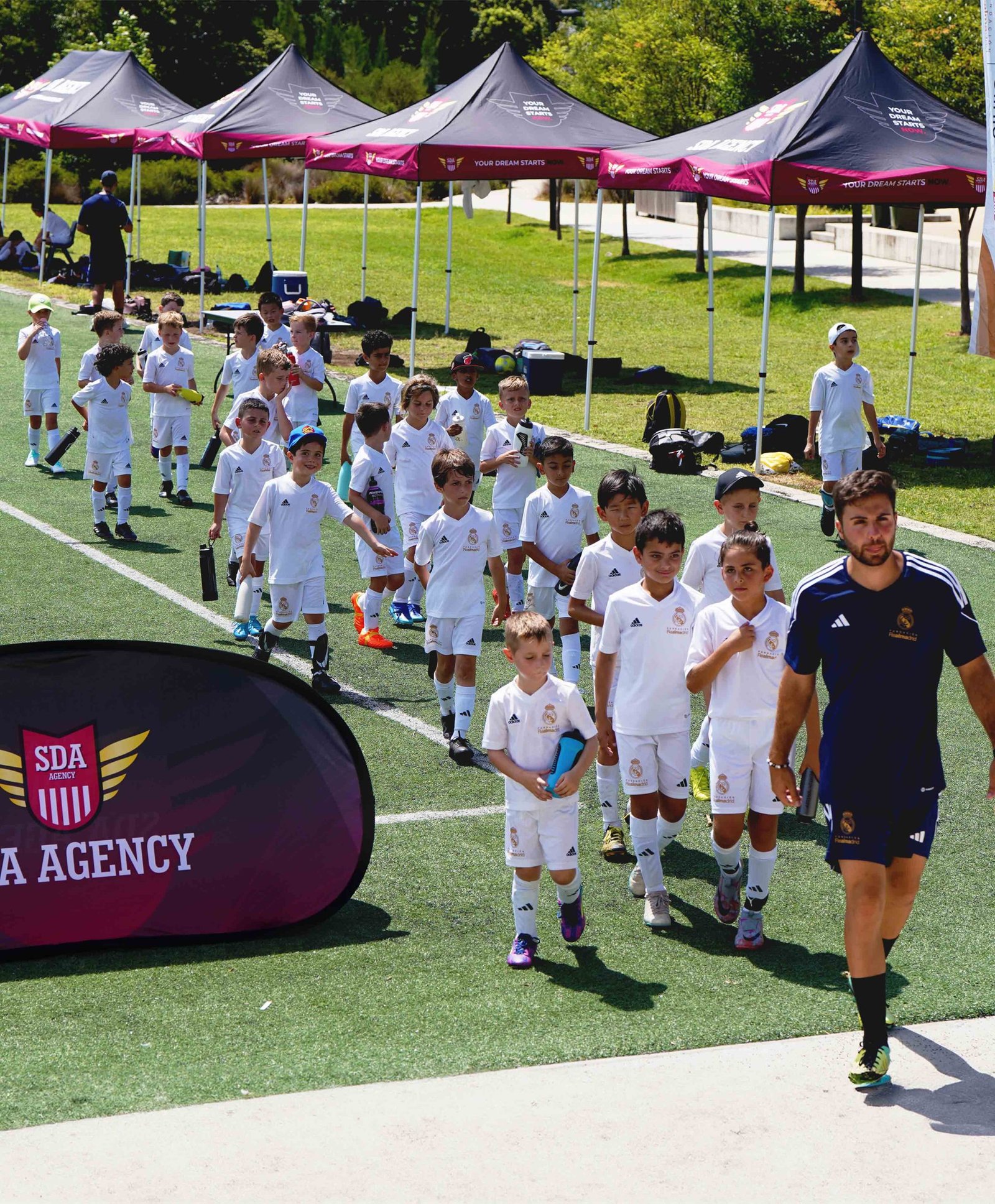 SDA-AGENCY-8